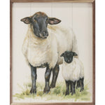 Sheep