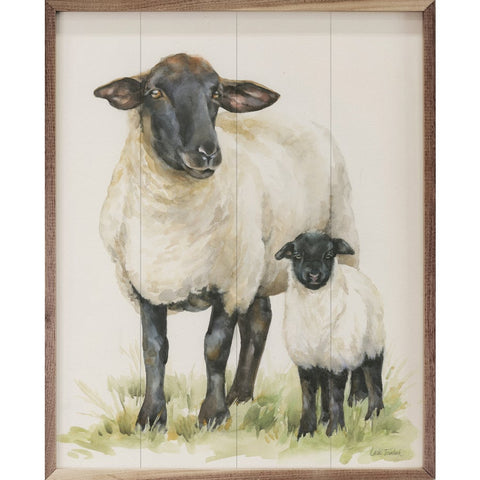 Sheep
