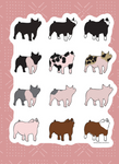Pig Breed Sticker