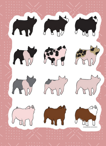 Pig Breed Sticker