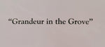 CJ Brown “Grandeur in the Grove” Notecard
