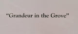CJ Brown “Grandeur in the Grove” Notecard