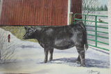 CJ Brown Christmas Greetings-Black Heifer/Red Bird Card
