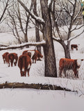 CJ Brown “Hereford Peace" Christmas Card