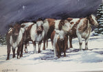 CJ Brown Christmas Card "Shorthorn Joy"