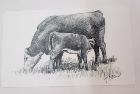 CJ Brown Hereford Cow Calf Decal