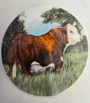 CJ Brown King Sticker