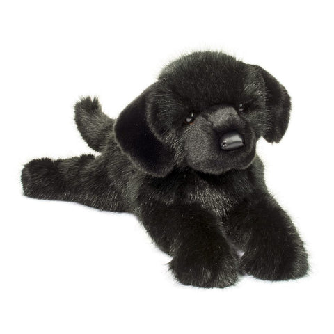 DLux Black Lab-Jake