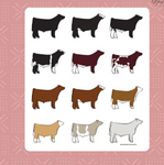 Steer Breeds Sticker