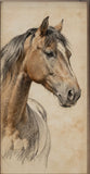 Horse Pencil Study