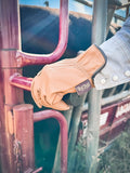 Dayworker Leather Gloves
