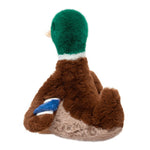 Mallard Duck-Desie
