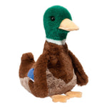 Mallard Duck-Desie
