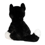 Black & White Cat-Beckie