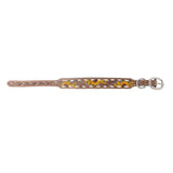 Myra Prarie Sunflower Trail Dog Collar