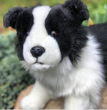 Border Collie-Hunter