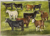 CJ Brown “Show Heifers” Notecards