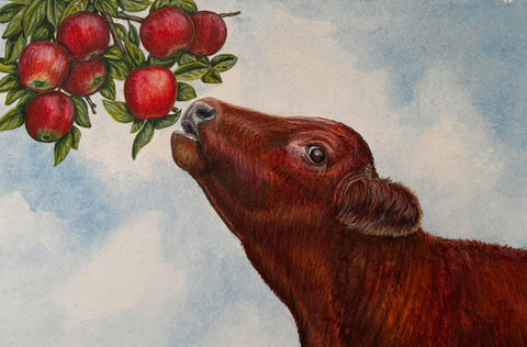 *coming soon—CJ Brown “The Moo Year” Children’s Book