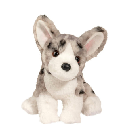 Corgi-Codie