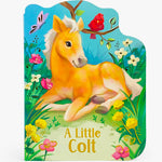 A Little Colt Children’s Board Book