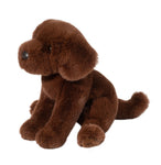 Chocolate Lab-Zoom