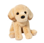 Yellow Lab-Ace