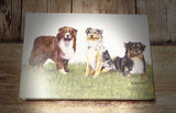 CJ Brown “Aussies” Notecard