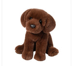 Chocolate Lab-Zoom
