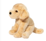 Yellow Lab-Ace