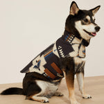 Team Softshell Dog Jacket