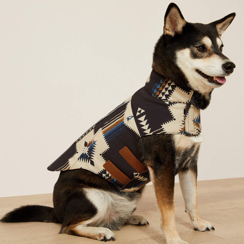 Team Softshell Dog Jacket