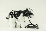 Medium Black & White Crossbred Steer