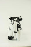 Medium Black & White Crossbred Steer
