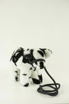 Medium Black & White Crossbred Steer