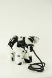 Medium Black & White Crossbred Steer