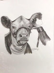 CJ Brown “Hereford Halter Power” Notecard