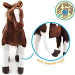 Horse-Hanna