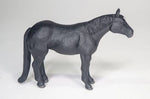 Little Buster Black Quarter Horse