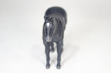 Little Buster Black Quarter Horse