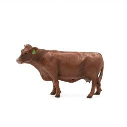 Little Buster Red Angus Cow no