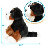 Bernese Mountain Dog-Bastien