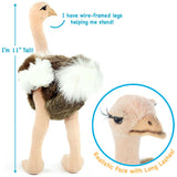 Ostrich-Ola