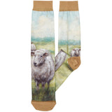 White Sheep Socks
