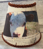 Night Light-Hereford Calf