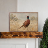 Pheasant in Wheat Field