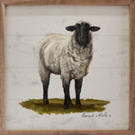 Sheep On Grass By Bonnie Mohr
Sign