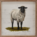 Sheep On Grass By Bonnie Mohr
Sign