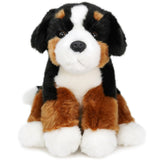 Bernese Mountain Dog-Bastien