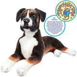 Boxer-Bob