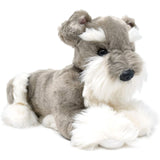 Schnauzer-Siegfried